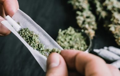medical marijuana blog img 3