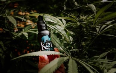 medical marijuana blog img 8