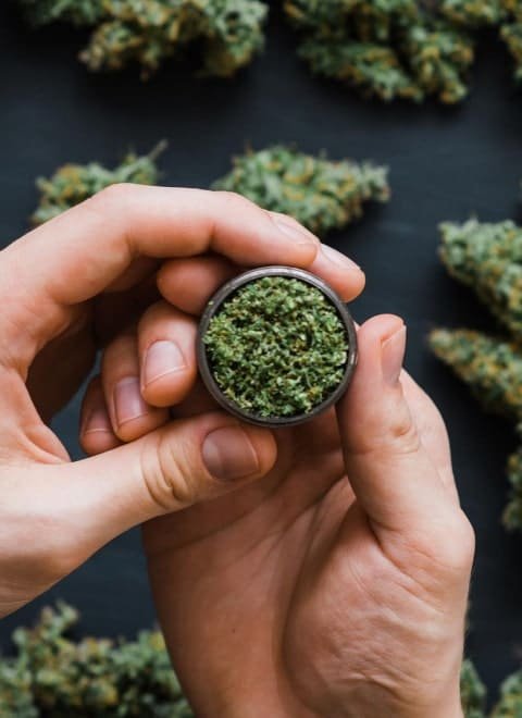 medical marijuana img hemp 2