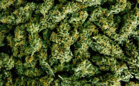 medical marijuana img hemp 1